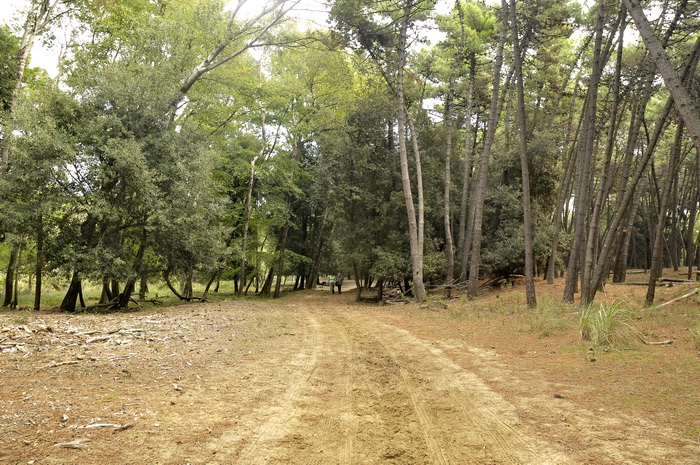 Tenuta di San Rossore - Riserva del Paduletto